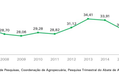 Abate voltou a crescer em 2017, após dois anos de queda, aponta IBGE