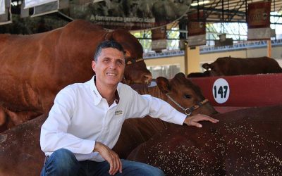 “A carne bovina tem liquidez e rentabilidade”, diz Pedro Crosara, Presidente da ABCB Senepol, associada da Assocon