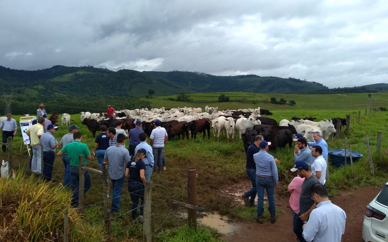 Trouw Nutrition reúne 50 pecuaristas em dia de campo na Fazenda Malabar, em Itatiba (SP)