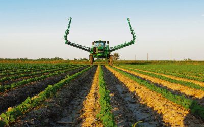 Aplicação incorreta de defensivos e fertilizantes prejudica produtividade na agricultura, alerta diretor da Brandt do Brasil
