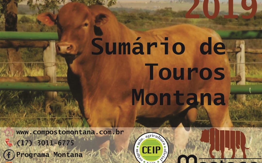 Programa Montana lança Sumário de Touros 2019
