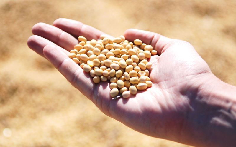 UPL faz caravana pelo Brasil para apresentar formas de proteção e aumento de produtividade da soja
