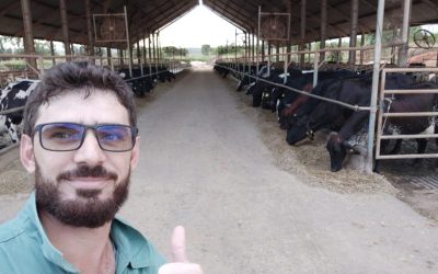Problemas de saúde em vacas diminuem com facilitador de secagem do leite, afirma veterinário de MG