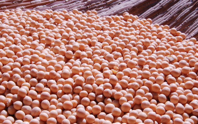 Soluções para soja são o foco da UPL na Dinetec 2020, em Canarana (MT)