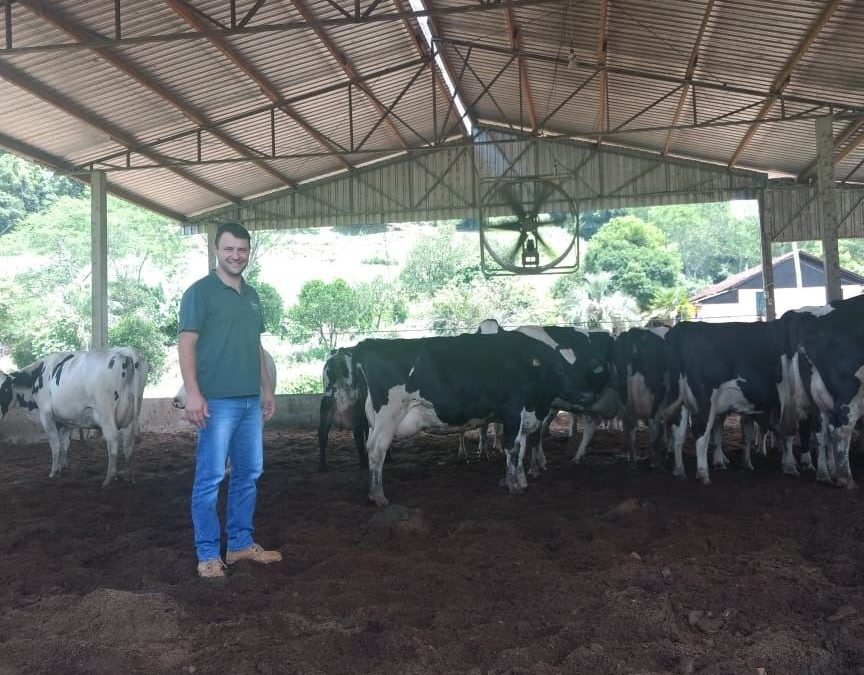 Estresse e desconforto no momento da secagem do leite em vacas causam prejuízos ao produtor, destaca veterinário