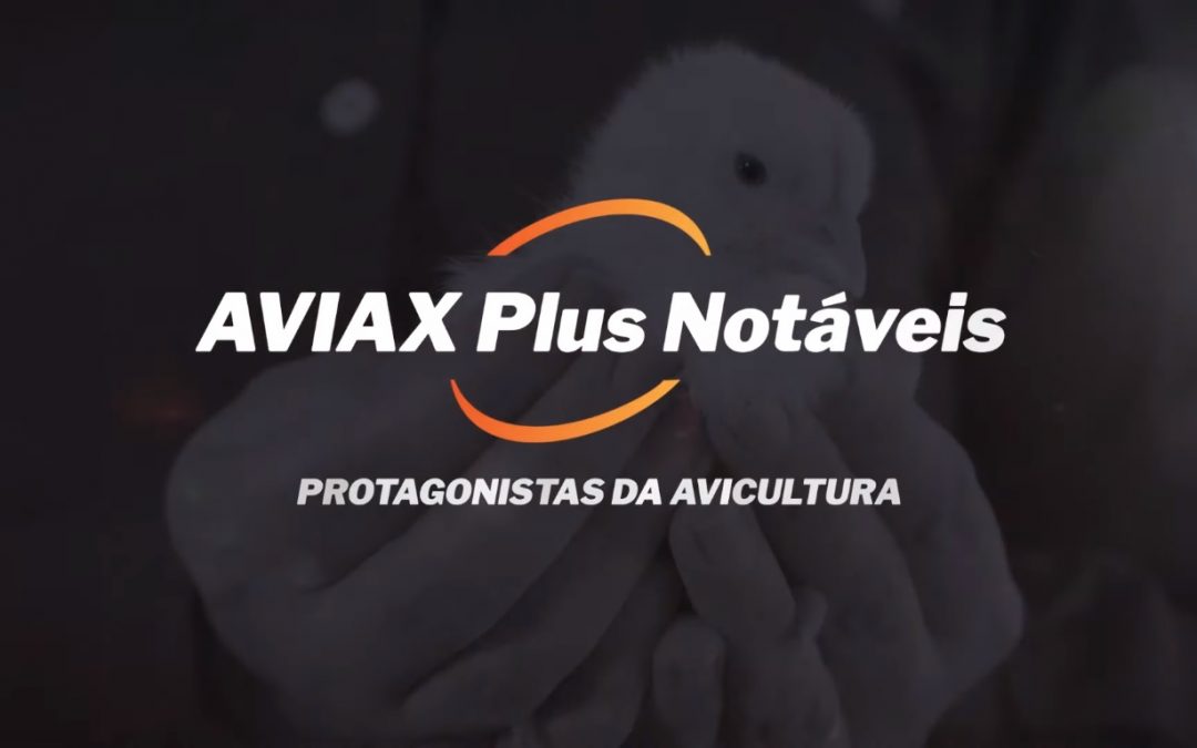 Phibro Saúde Animal lança série “Aviax Plus – Notáveis”, com histórias de relevantes profissionais da cadeia avícola