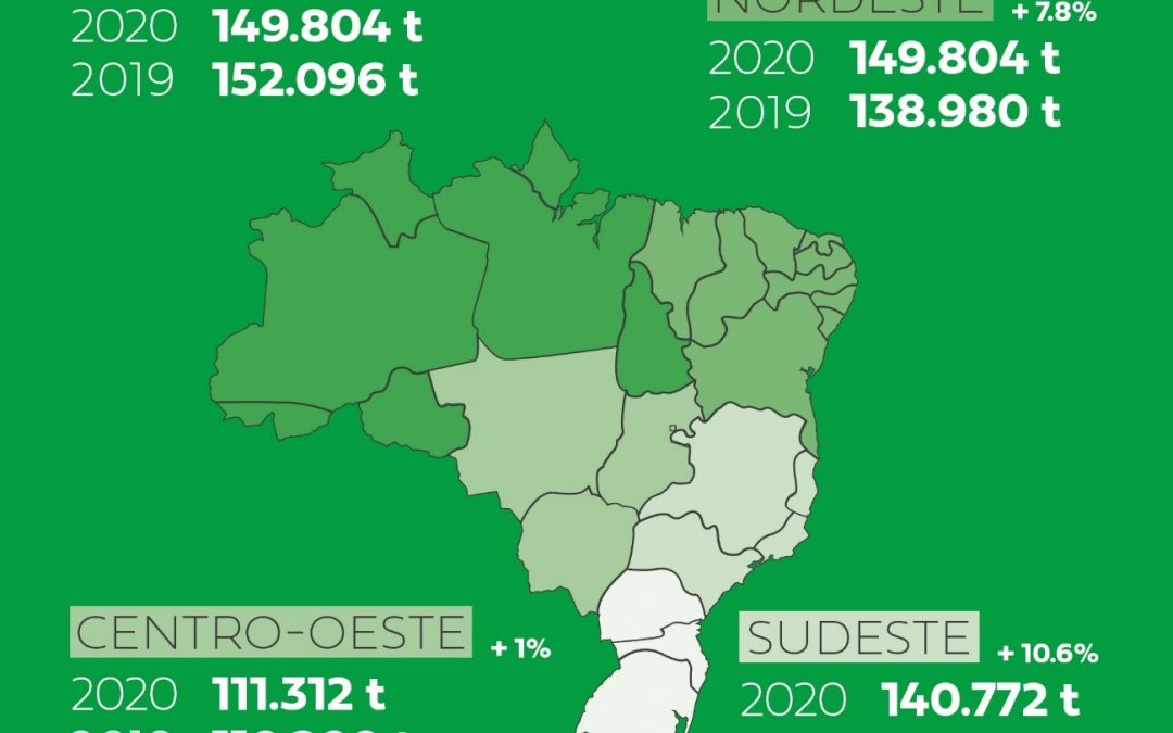 Sul lidera produção por regiões e já representa 31,1% da piscicultura brasileira