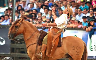 Saúde dos cascos é essencial para o sucesso dos cavalos crioulos, afirma tetracampeão do Freio de Ouro