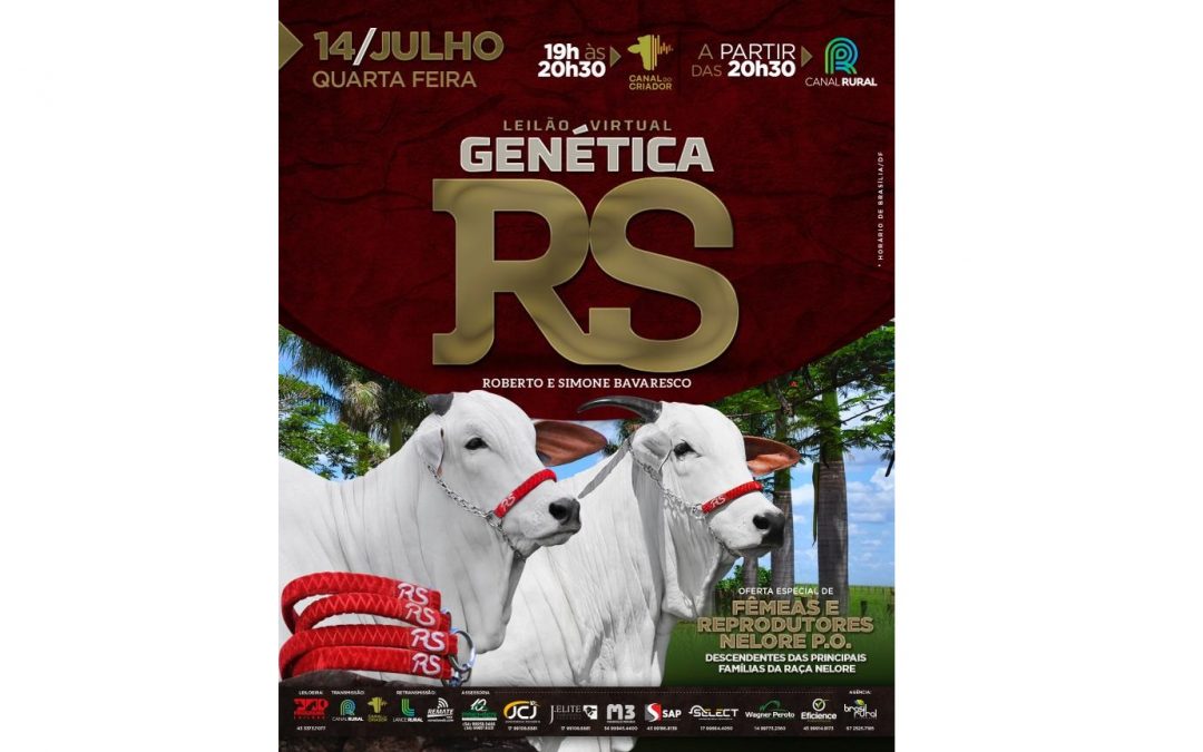 Leilão Virtual Genética RS tem oferta de fêmeas e reprodutores Nelore