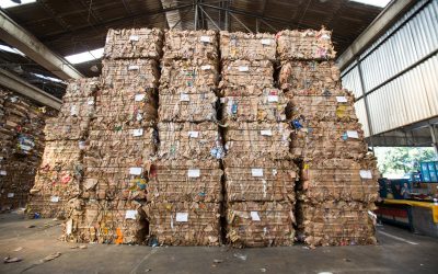 Fider Pescados recicla 13,2 toneladas de embalagens