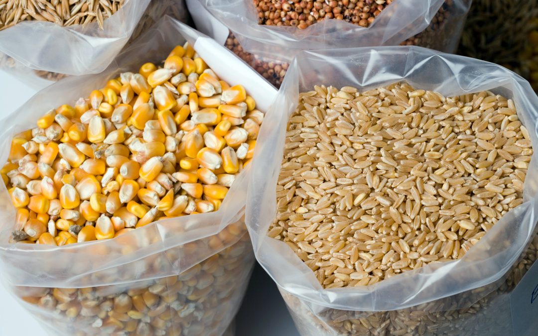 Pragas têm potencial para provocar prejuízos de até R$ 200 bilhões aos cereais durante a armazenagem