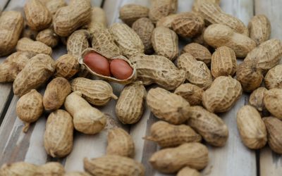 Proteção fitossanitária com soluções da UPL garante o sucesso das plantações de amendoim